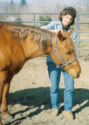 Head rub Horse
